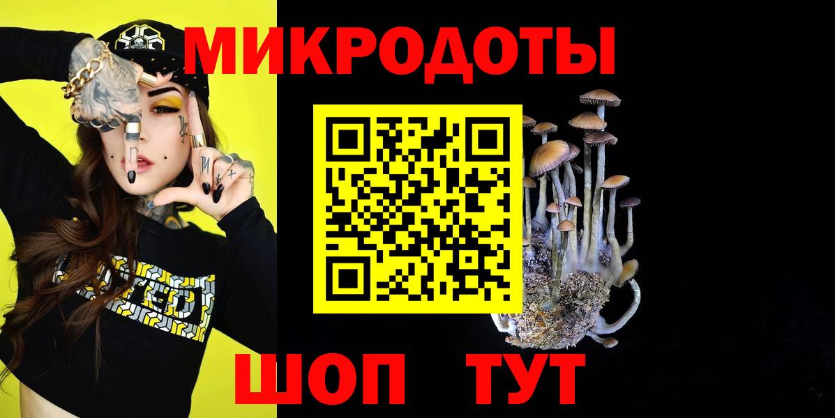 Псилоцибиновые грибы Cubensis Алейск