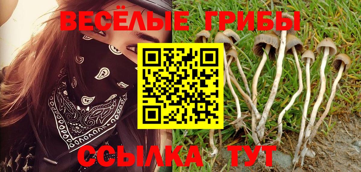 Псилоцибиновые грибы прущие грибы  Галлюциногенные грибы ЛСД  Вход с VPN  Алейск 